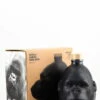 KONG Rainforest Rum Black Edition -BULLDOG Verkäufe DSC 0249T20ja3LeeJeeE 1280x1280
