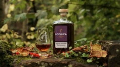 Lochlea Fallow Edition - Second Crop 7 Lochlea Fallow Edition - Second Crop -BULLDOG Verkäufe Lochlea FallowEdition Mood 1280x1280