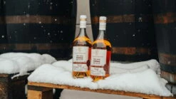 Très Vieux Brut De Fut Bons Bois Lot 88 Vallein Tercinier 7 Très Vieux Brut De Fut Bons Bois Lot 88 Vallein Tercinier -BULLDOG Verkäufe Vallein Tercinier MoodulHTClACDA2qQ 1280x1280