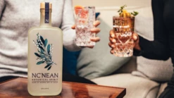 Nc’Nean Botanical Spirit 40%vol. 0,5l -BULLDOG Verkäufe unnamed12T6Emv4PZ3J3zd 1280x1280