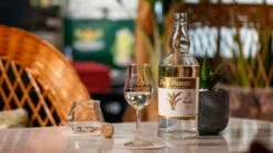 Papa Rouyo Blanc - Le Réjéton 2021 8 Papa Rouyo Blanc - Le Réjéton 2021 -BULLDOG Verkäufe unnamed20tsoEuUv8WuluT 1280x1280