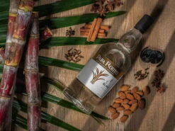 Papa Rouyo Blanc - Le Réjéton 2021 9 Papa Rouyo Blanc - Le Réjéton 2021 -BULLDOG Verkäufe unnamed21CVCDsIt8IS0yY 1280x1280